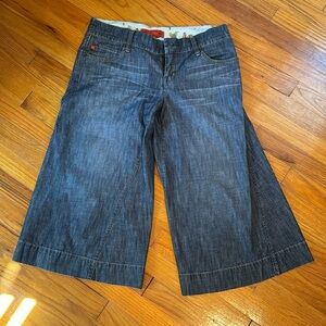 Level 99 Jeans Cropped and Wide Leg